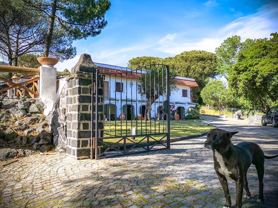 Hotel Sirio Boscotrecase Buitenkant foto